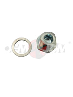 Genuine OEM R154 Drain Plug - 90341-18006